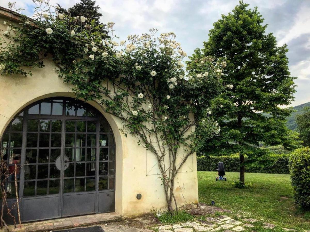 Terra Della Lanterna Bed & Breakfast Cetona Exterior photo